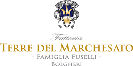 Terre del Marchesato B2B